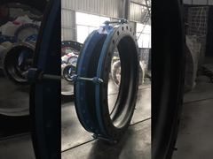 End Face full Rubber Expansion Joint 